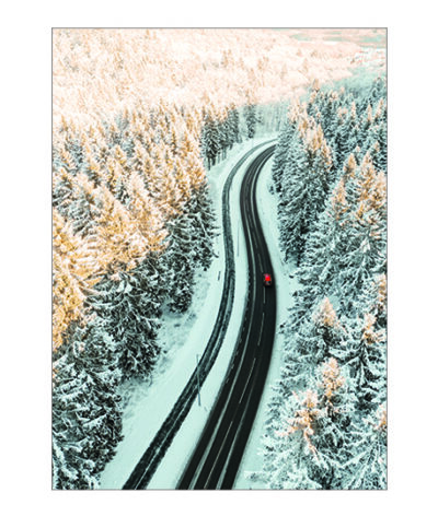 Winter Wonderland Poster