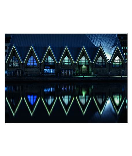 Night Lights Poster