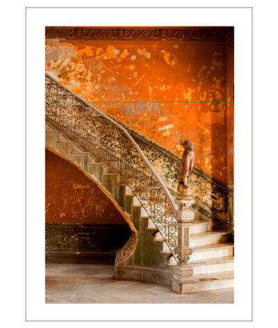 Trappa Poster - Bild 2