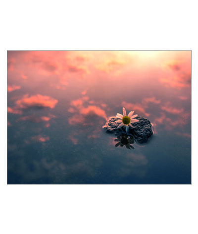 Sky Flower Poster