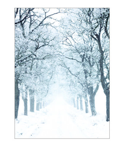 Listen, The Snow Is Falling Poster
