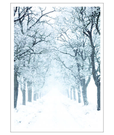 Listen, The Snow Is Falling Poster - Bild 2