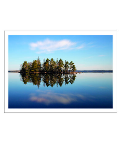 On Avery Island Poster - Bild 2