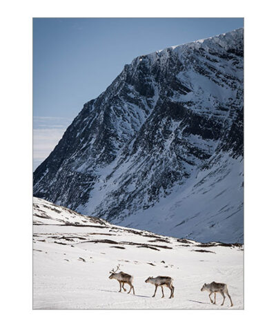 Norrlands massiven Poster