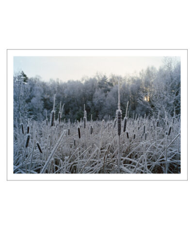 Winter Poster - Bild 2