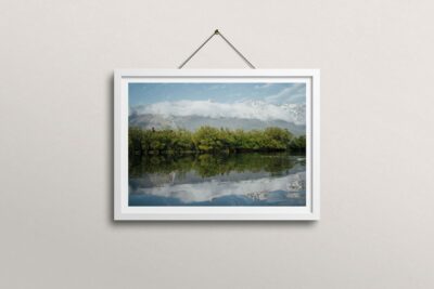 Qiu Print