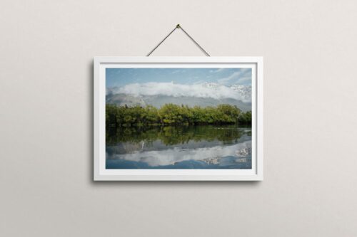 Qiu Print