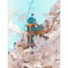 Cherryblossom Poster