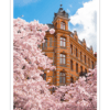 Järntorget Poster - Bild 2