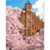 Järntorget Poster