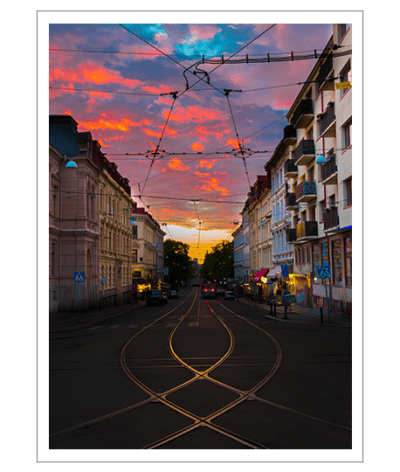 Vasaviktoria Poster - Bild 2