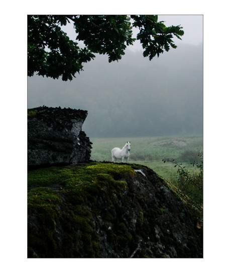 Skuggfager Poster