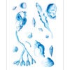Sommar 2021 Poster - Bild 2