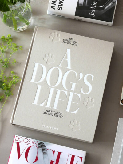 A Dogs Life Fotoalbum - Bild 5