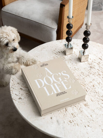 A Dogs Life Fotoalbum - Bild 4