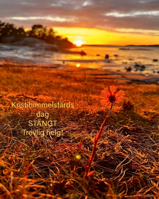 Torsdag 29/5 Stängt ☀️
Fredag Öppet 10-17
Lördag Öppet 10-14 
Välkomna!🌻